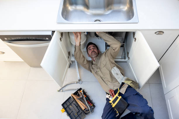 Best Local Plumber Services  in Lely, FL