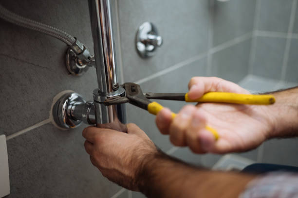 Best Affordable Plumbing Services  in Lely, FL
