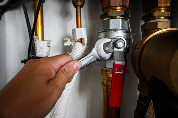 Best Emergency Plumbing Repair  in Lely, FL